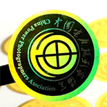  Hologram Sticker